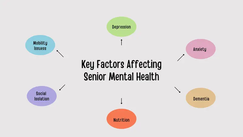 Key factors affecting senior mental health